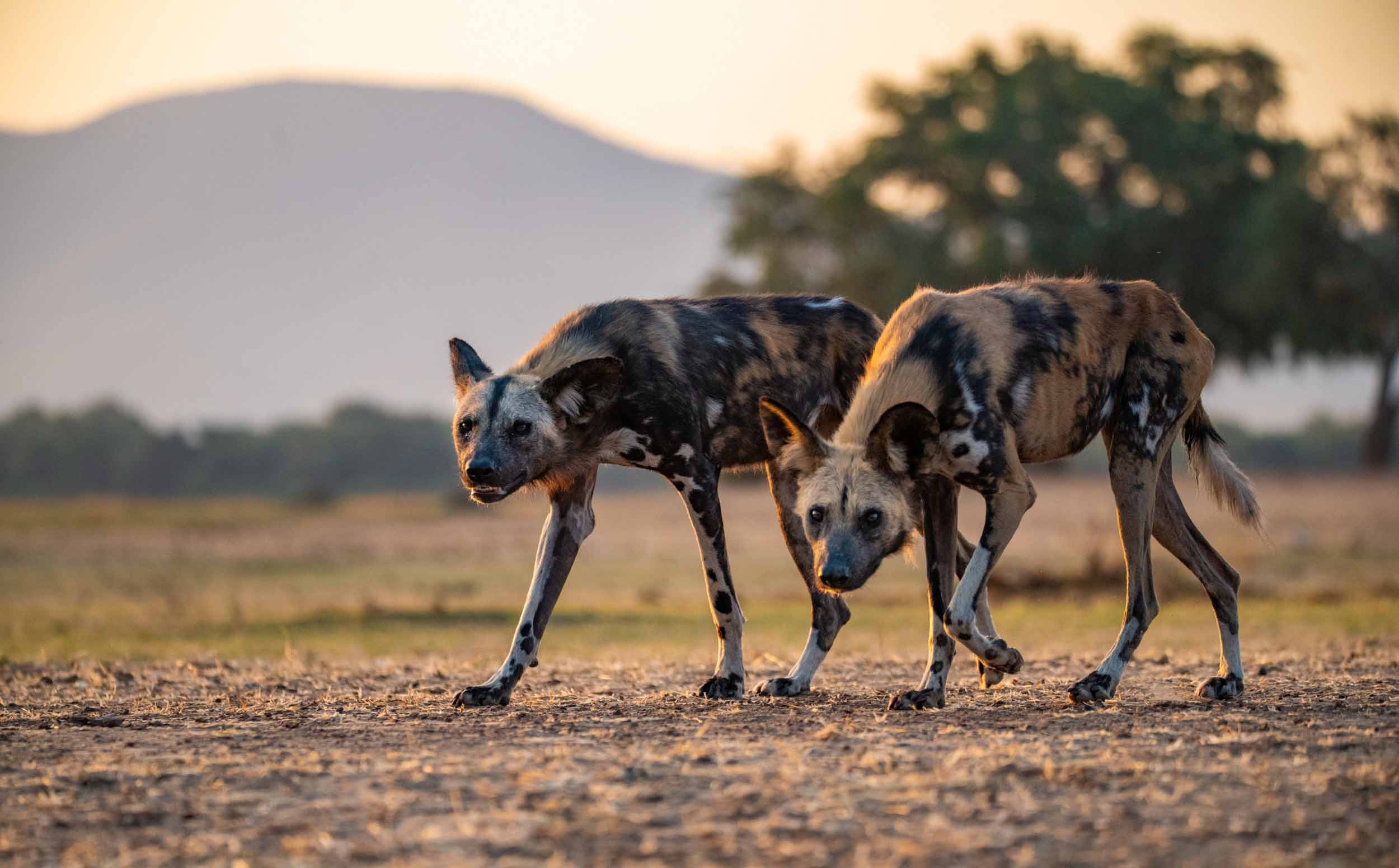 African-Eye media and travel, Shaun McMinn, Victoria Falls (32)