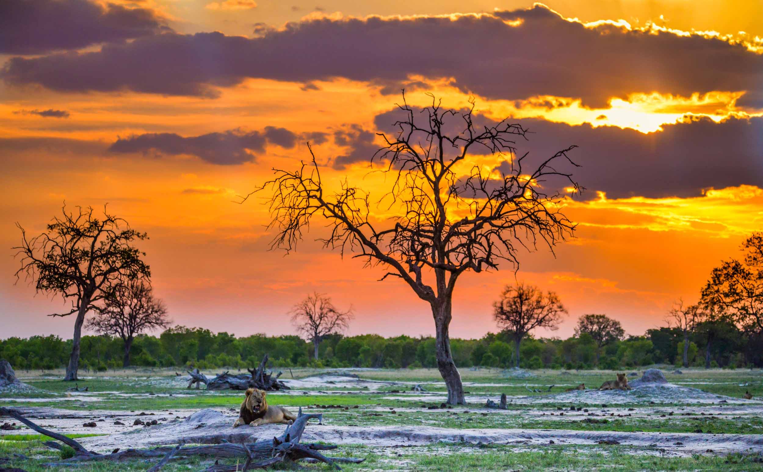 African-Eye media and travel, Shaun McMinn, Victoria Falls (69)