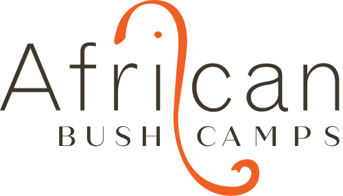 African Bush Camps