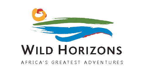 wild-horizon-original-color-logo